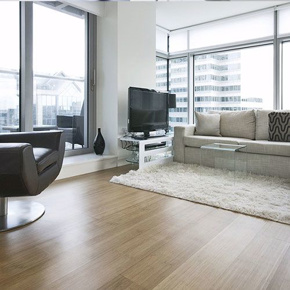 Εικόνα για την κατηγορία Πλαστικά Δάπεδα -PVC