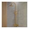 Εικόνα από Στήλη Ντούς 2 Εξόδων Armando Vicario Industrial 512065-201 Brushed Gold